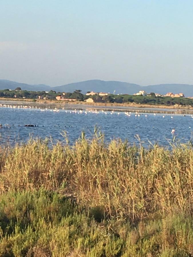 Residence Port Hyeres Les Palmiers Ngoại thất bức ảnh
